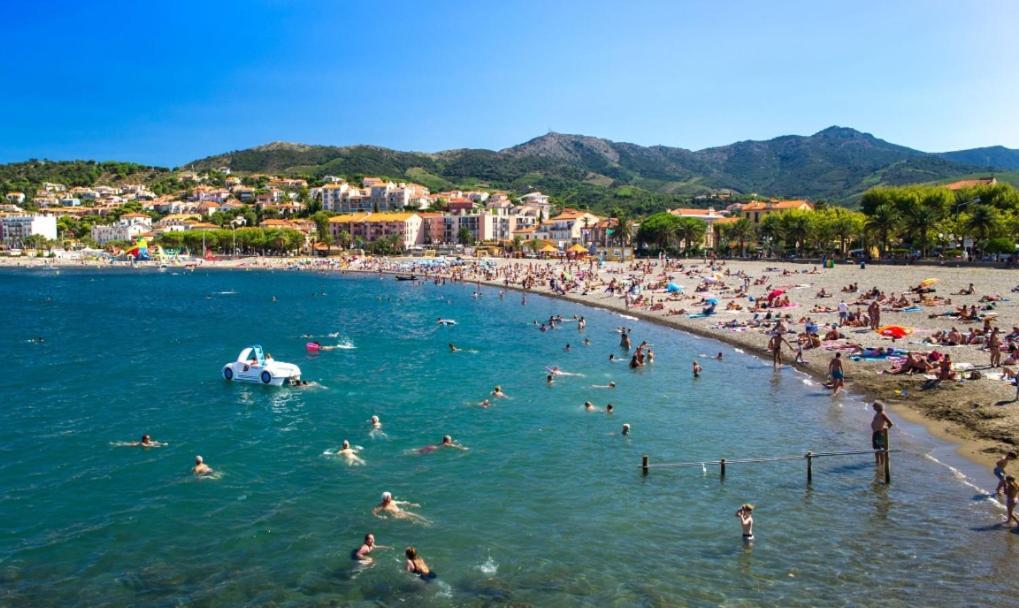Appartement Avec Jardin Prive A 2Min De La Plage 滨海巴纽尔斯 外观 照片